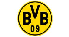 bvb logo