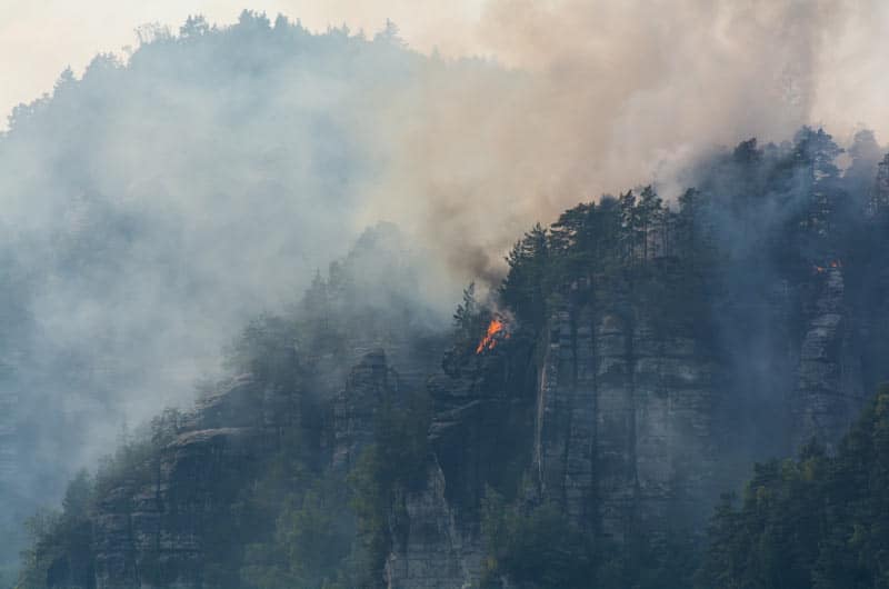 pressemitteilung crowdfunding waldbrand