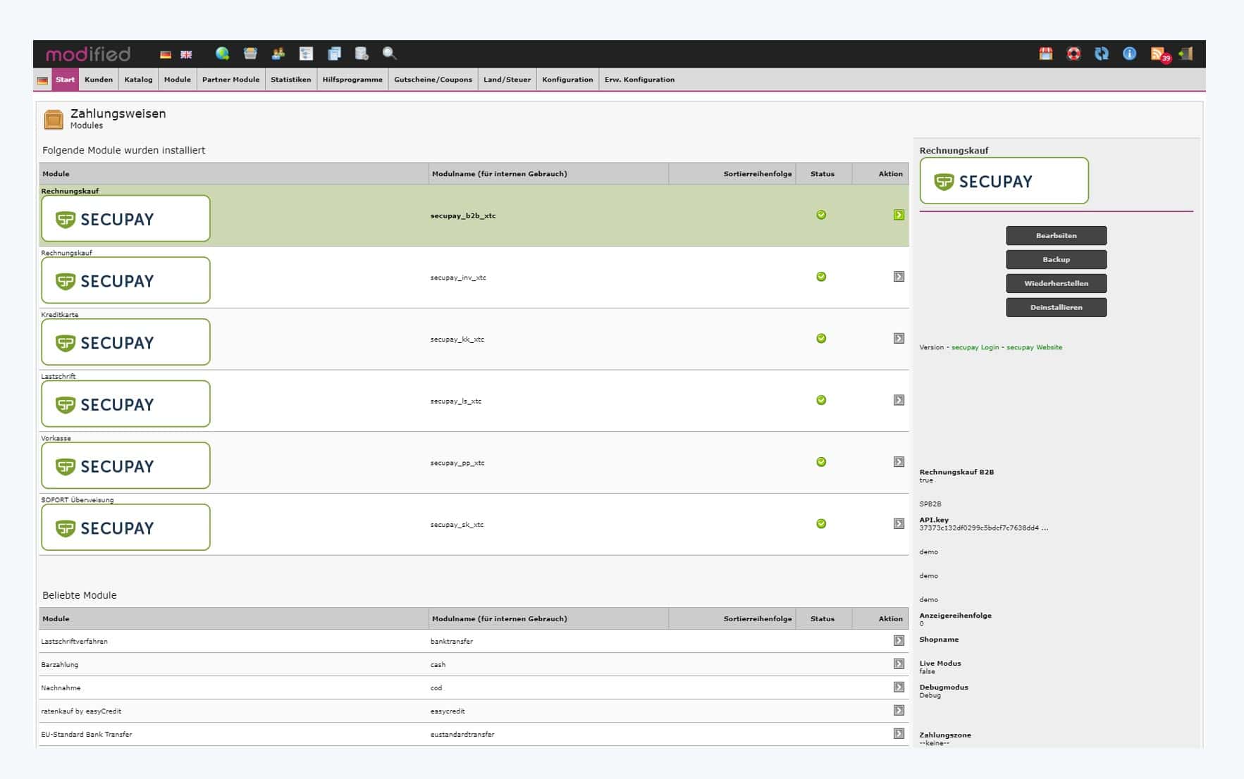 modified Backend Zahlungsplugin