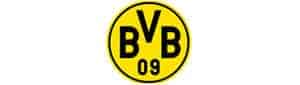 bvb logo